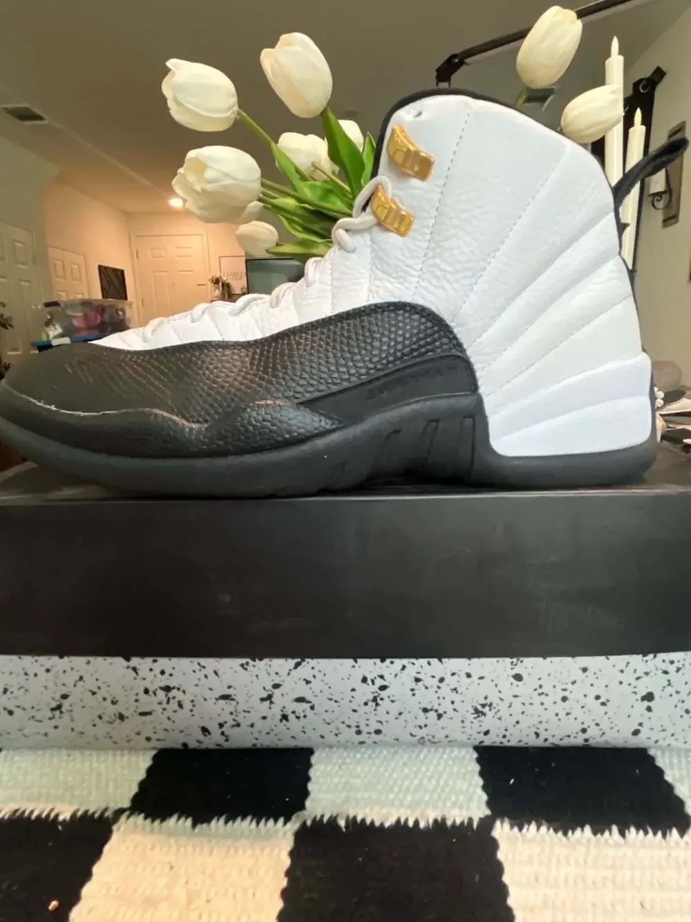 Jordan air 12
